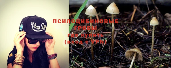 не бодяженный Абдулино