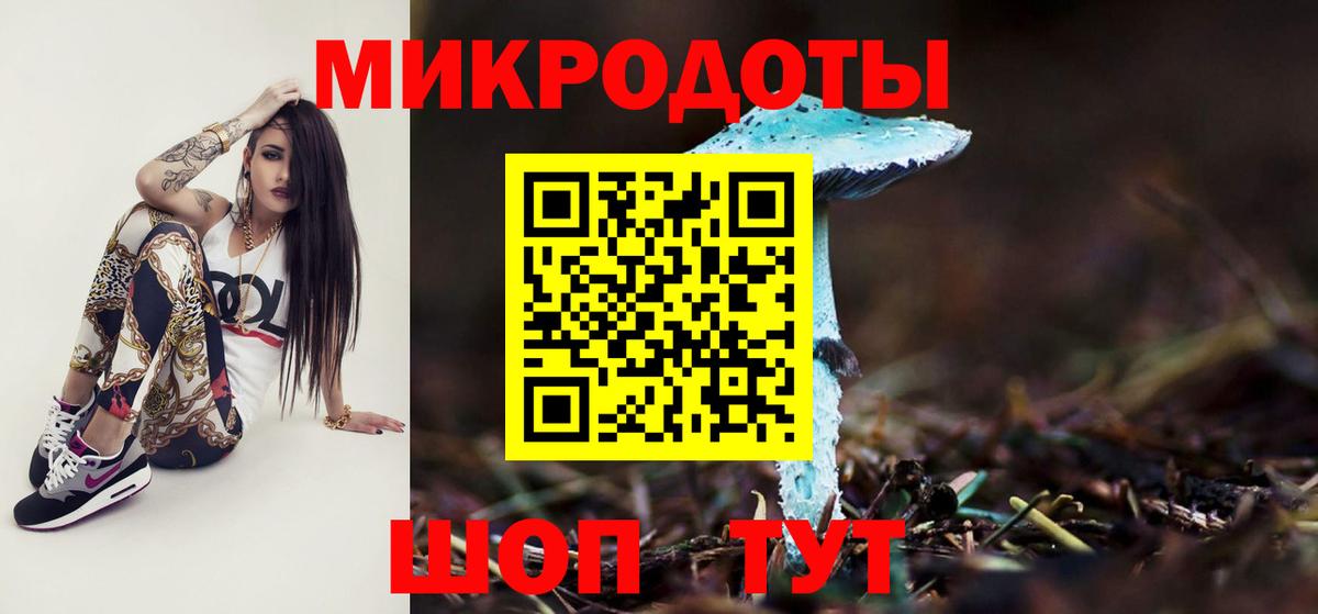 Псилоцибиновые грибы мицелий Туапсе